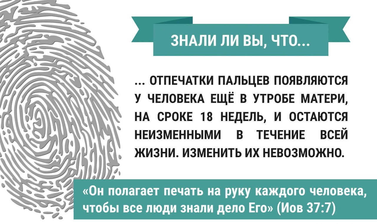 Знали ли Вы? Отпечатки пальцев — Храм Христа Спасителя