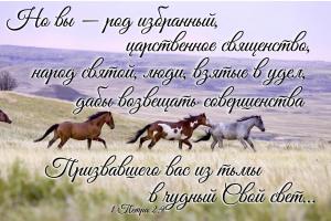 1 Петра 2.9