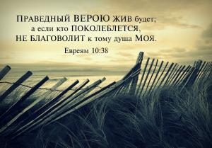 Евреям 10.38