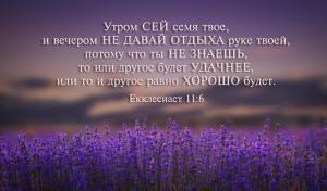 Екклезиаст 11.6