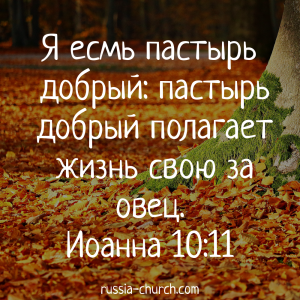 Иоанна 10-11