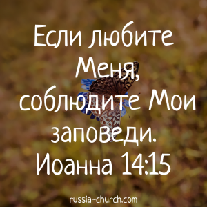 Иоанна 14-15