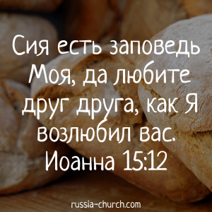 Иоанна 15-12