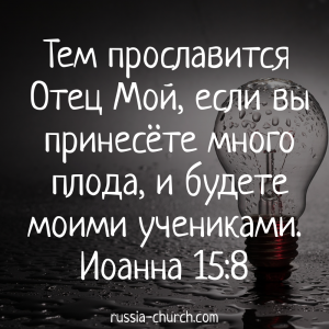 Иоанна 15-8