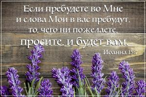 Иоанна 15.7