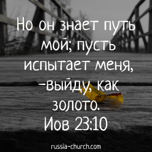 Иов 23-10