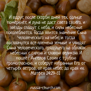 Матфея 24-29-31