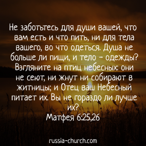 Матфея 6-25,26