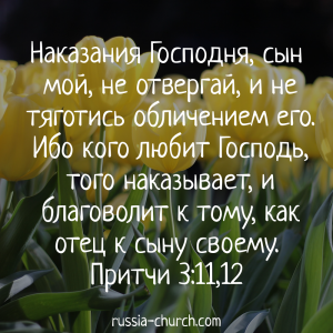 Притчи 3-11,12