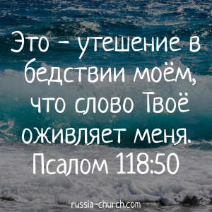 Псалом 118-50