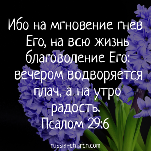 Псалом 29-6